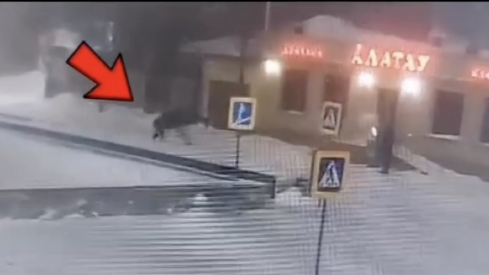 Шокирующее видео: Мужчина ограблен и избит в Нур-Султане!